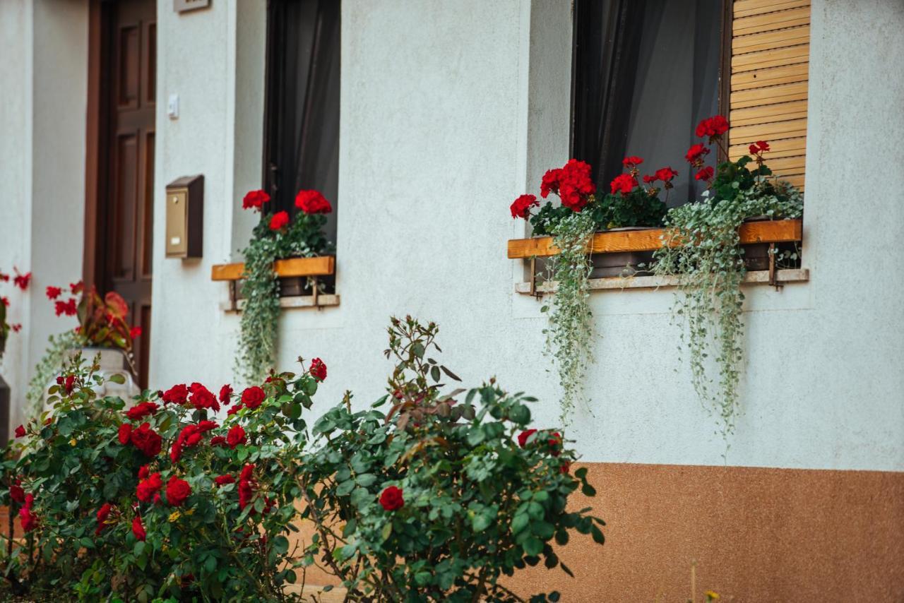 Stol Apartments Zirovnica Exterior photo